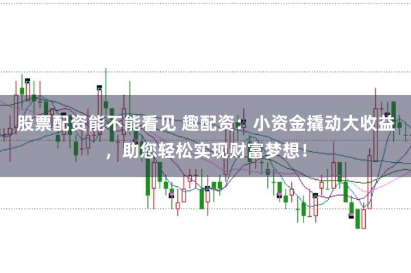 股票配资能不能看见 趣配资：小资金撬动大收益，助您轻松实现财富梦想！