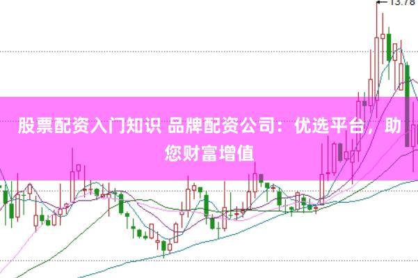股票配资入门知识 品牌配资公司：优选平台，助您财富增值