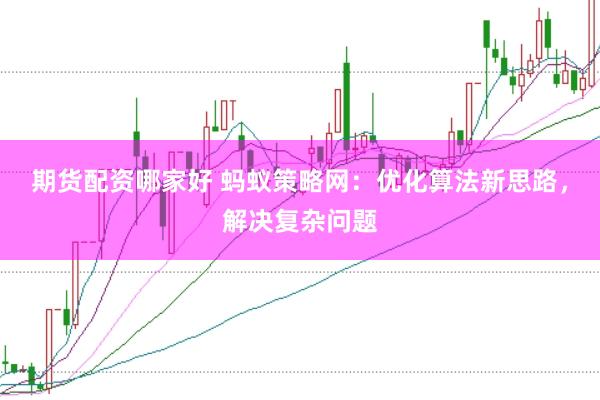 期货配资哪家好 蚂蚁策略网：优化算法新思路，解决复杂问题