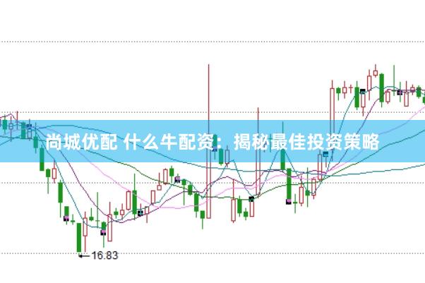 尚城优配 什么牛配资：揭秘最佳投资策略