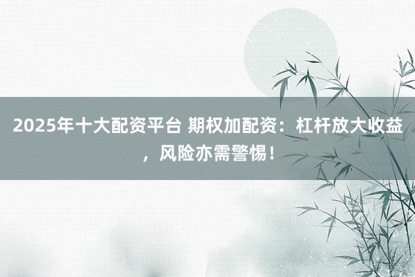 2025年十大配资平台 期权加配资：杠杆放大收益，风险亦需警惕！