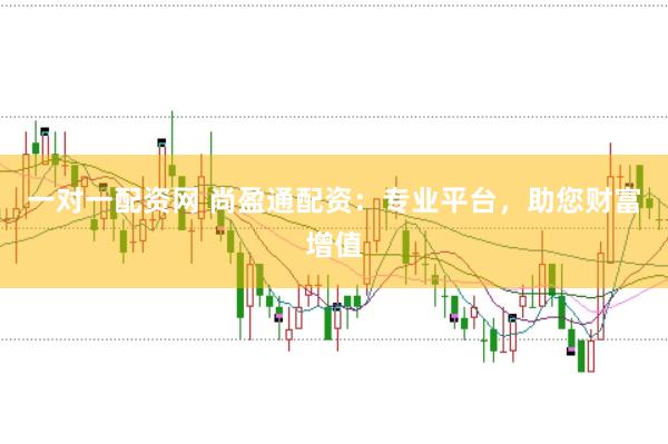 一对一配资网 尚盈通配资：专业平台，助您财富增值