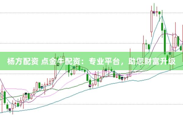 杨方配资 点金牛配资:专业平台,助您财富升级