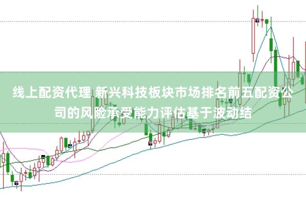 线上配资代理 新兴科技板块市场排名前五配资公司的风险承受能力评估基于波动结