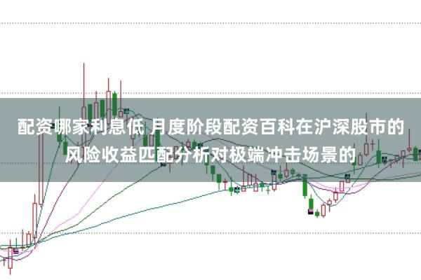 配资哪家利息低 月度阶段配资百科在沪深股市的风险收益匹配分析对极端冲击场景的