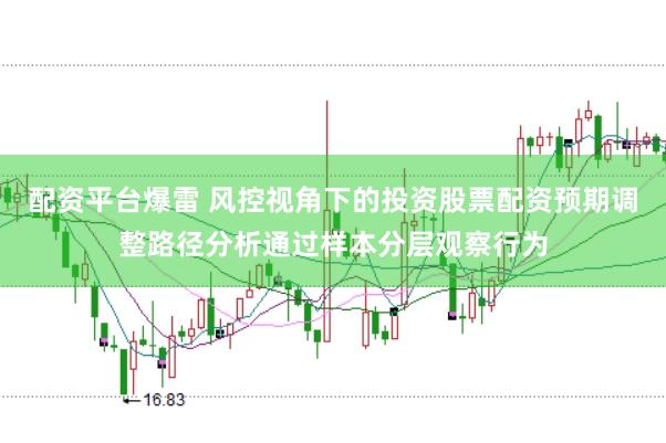 配资平台爆雷 风控视角下的投资股票配资预期调整路径分析通过样本分层观察行为