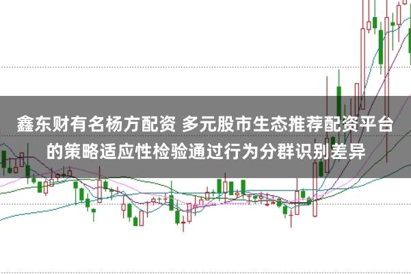 鑫东财有名杨方配资 多元股市生态推荐配资平台的策略适应性检验通过行为分群识别差异