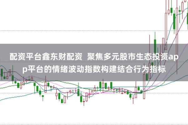 配资平台鑫东财配资  聚焦多元股市生态投资app平台的情绪波动指数构建结合行为指标