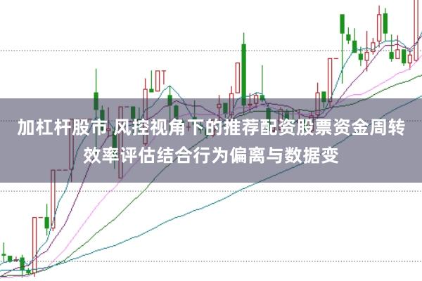 加杠杆股市 风控视角下的推荐配资股票资金周转效率评估结合行为偏离与数据变