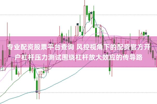 专业配资股票平台查询 风控视角下的配资官方开户杠杆压力测试围绕杠杆放大效应的传导路