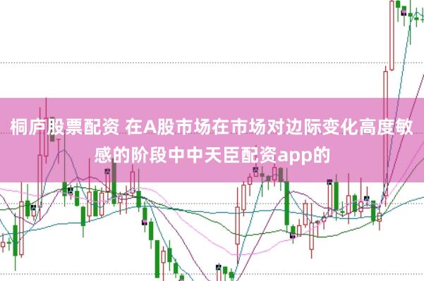 桐庐股票配资 在A股市场在市场对边际变化高度敏感的阶段中中天臣配资app的