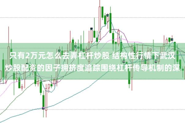 只有2万元怎么去弄杠杆炒股 结构性行情下武汉炒股配资的因子拥挤度追踪围绕杠杆传导机制的深