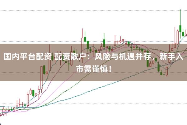 国内平台配资 配资散户：风险与机遇并存，新手入市需谨慎！