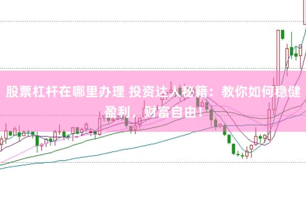 股票杠杆在哪里办理 投资达人秘籍：教你如何稳健盈利，财富自由！