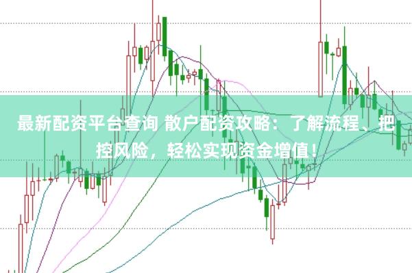最新配资平台查询 散户配资攻略：了解流程、把控风险，轻松实现资金增值！