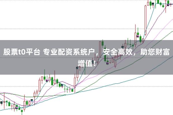 股票t0平台 专业配资系统户，安全高效，助您财富增值！