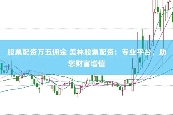 股票配资万五佣金 美林股票配资：专业平台，助您财富增值