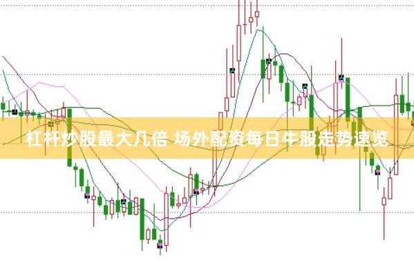 杠杆炒股最大几倍 场外配资每日牛股走势速览