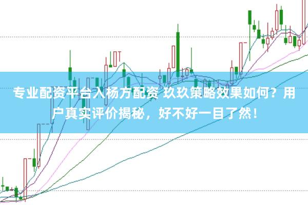 专业配资平台入杨方配资 玖玖策略效果如何？用户真实评价揭秘，好不好一目了然！