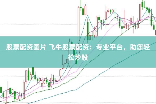 股票配资图片 飞牛股票配资：专业平台，助您轻松炒股